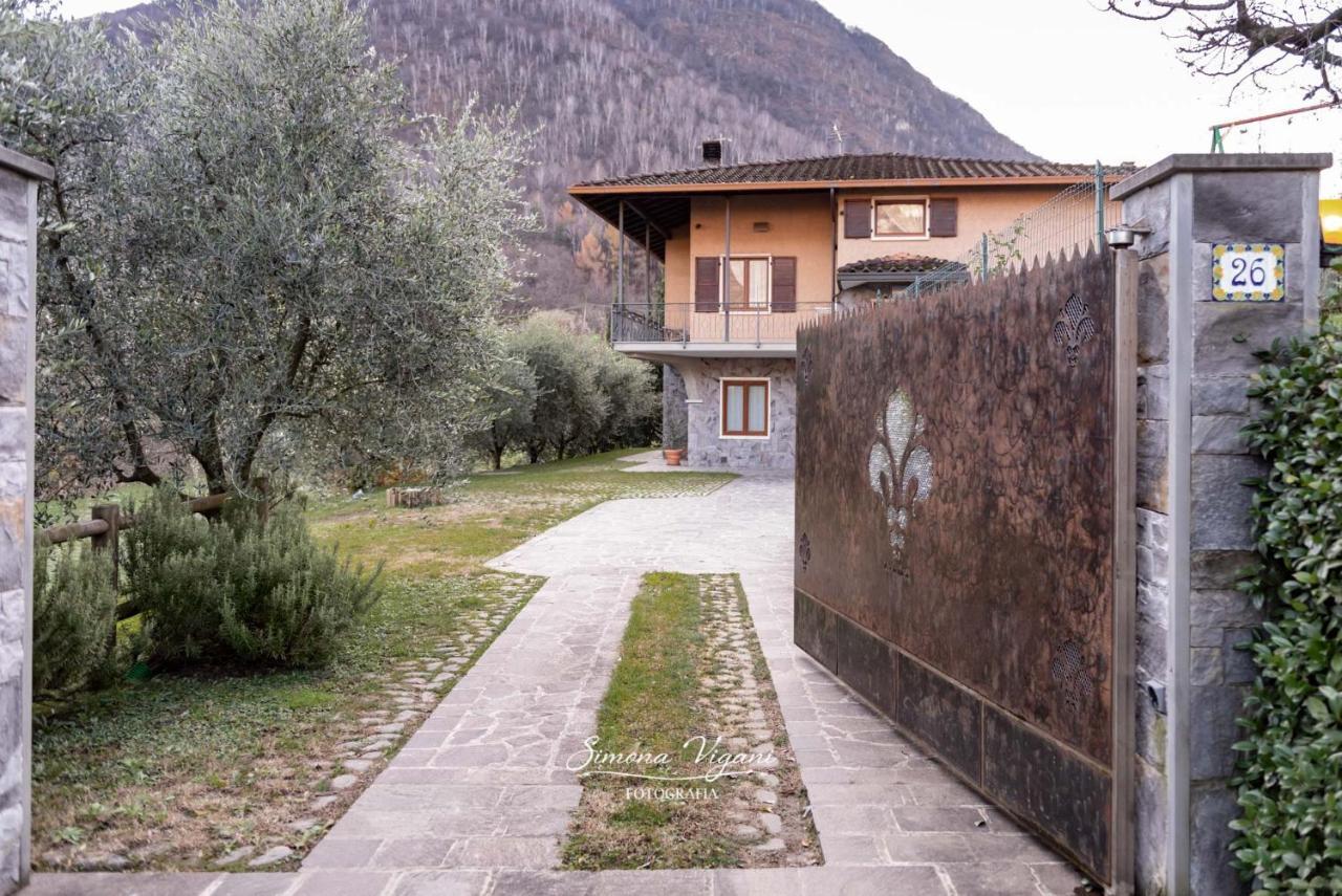 Feel At Home - Villa Uliveta Sovere 外观 照片